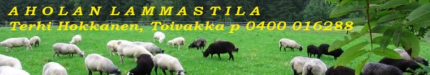 Aholan Lammastila