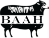 Baah Yarn